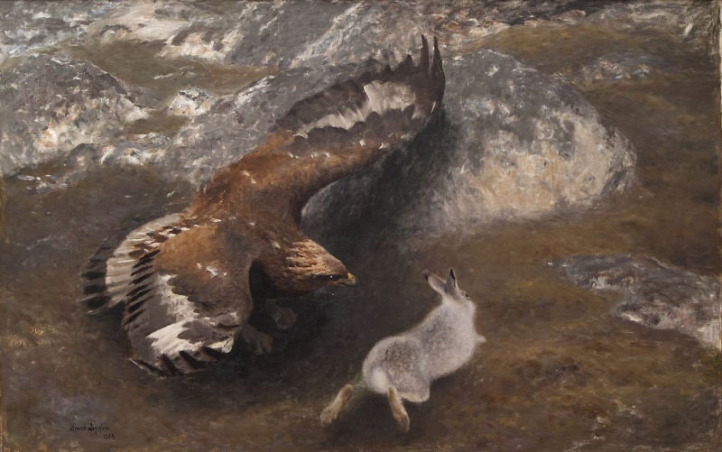 Eagle And Hare reproduction of painting by Bruno Liljefors. ALL GICLEE PRINTS