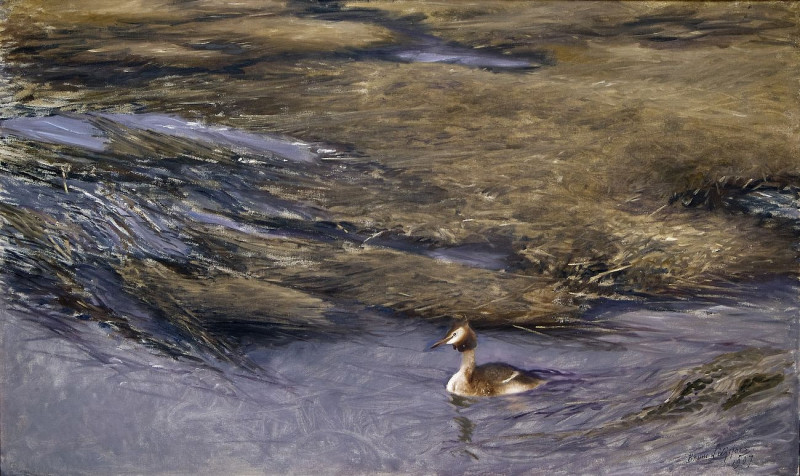 Grebe reproduction of painting by Bruno Liljefors. ALL GICLEE PRINTS