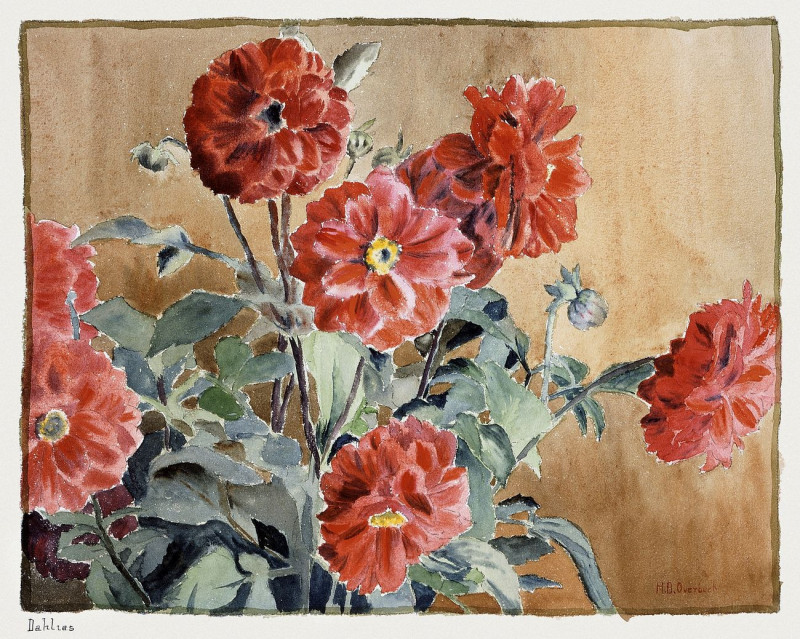 Dahlias reproduction of painting by Hannah Borger Overbeck. ALL GICLEE PRINTS