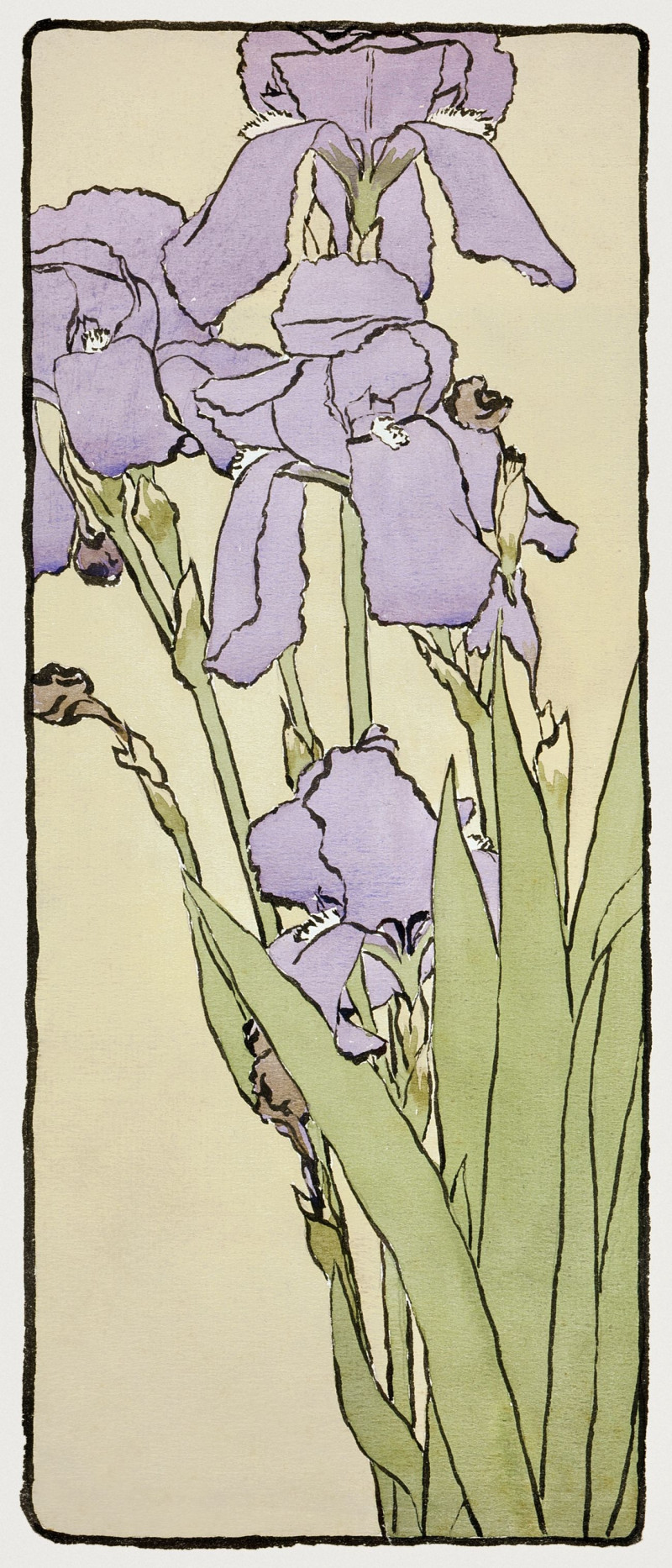 Iris reproduction of painting by Hannah Borger Overbeck. ALL GICLEE PRINTS