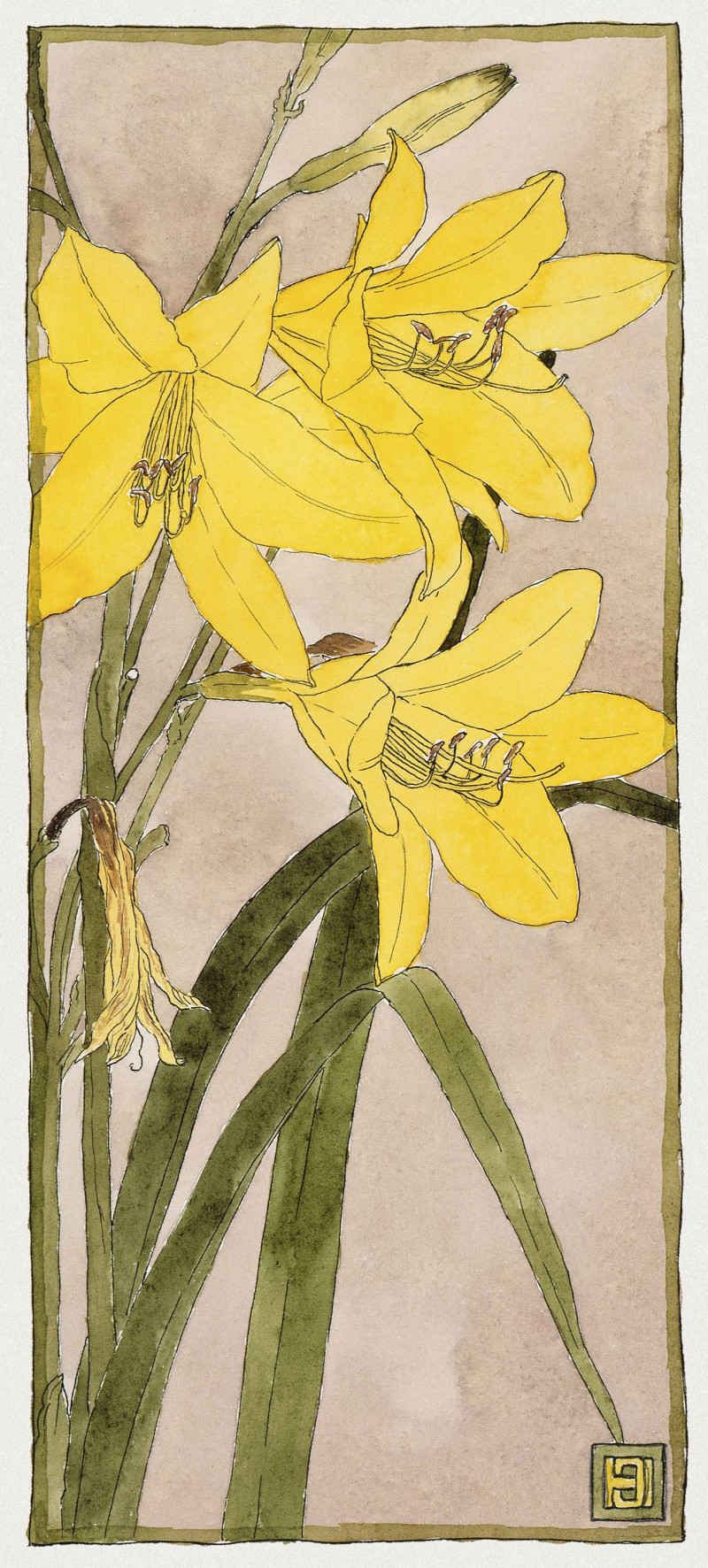 Yellow Daylily reproduction of painting by Hannah Borger Overbeck. ALL GICLEE PRINTS