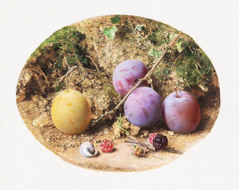 Aesthetic Watercolor Plums And Mulberries reproduction of painting by William Henry Hunt. ALL GICLEE PRINTS