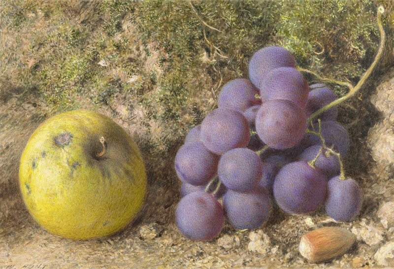 Apple, Grapes And A Cob-Nut reproduction of painting by William Henry Hunt. ALL GICLEE PRINTS