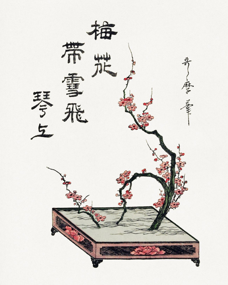 Kitagawa Utamaro reprodukcija Japanese Ikebana Plum Branch, VISOS REPRODUKCIJOS , paveikslai, reprodukcijos internetu