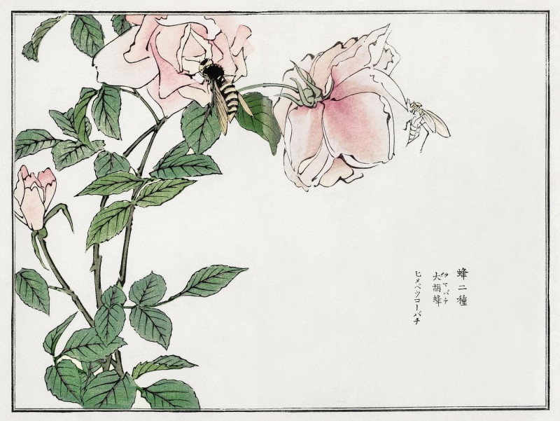 Bee And Flower Illustration From Churui Gafu reproduction of painting by Morimoto Toko. ALL GICLEE PRINTS