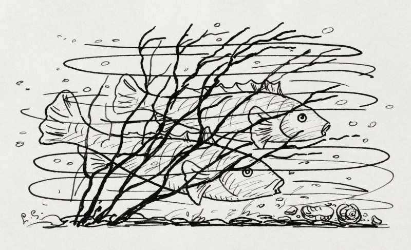 Leo Gestel reprodukcija Two Fish In The Water, VISOS REPRODUKCIJOS , paveikslai, reprodukcijos internetu