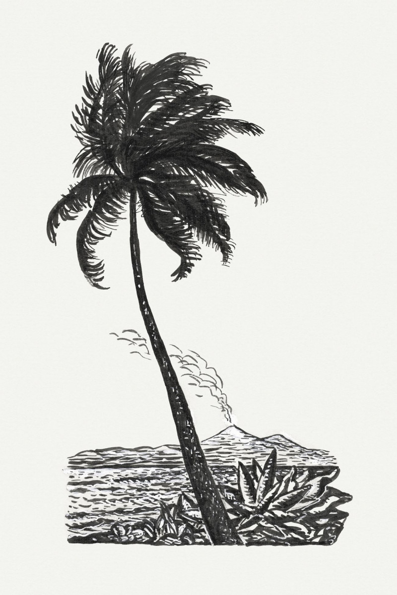 Palm Tree With An Island reproduction of painting by Leo Gestel. ALL GICLEE PRINTS