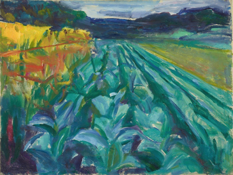 Edvard Munch reprodukcija Cabbage Field (1915), VISOS REPRODUKCIJOS , paveikslai, reprodukcijos internetu