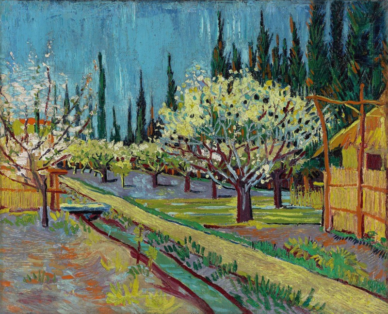 Orchard Bordered by Cypresses (1888) reproduction of painting by Vincent Van Gogh. ALL GICLEE PRINTS