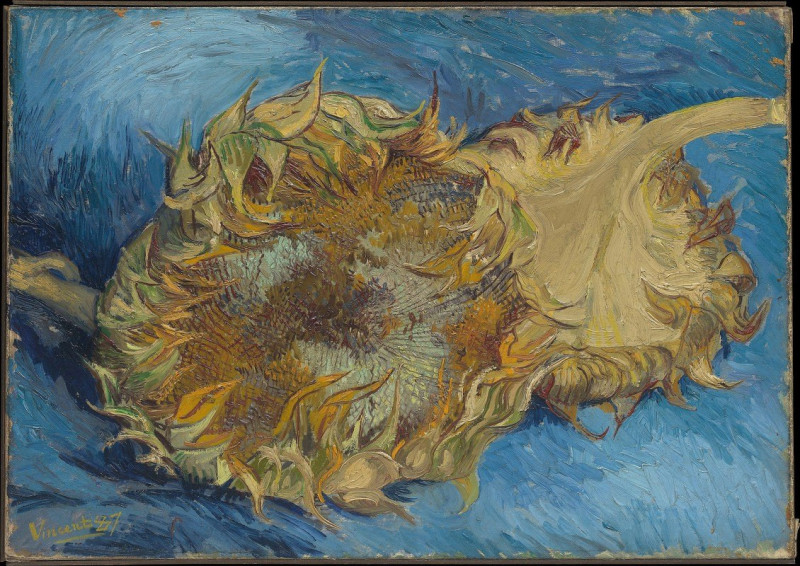 Vincent Van Gogh reprodukcija Sunflowers (1887), VISOS REPRODUKCIJOS , paveikslai, reprodukcijos internetu