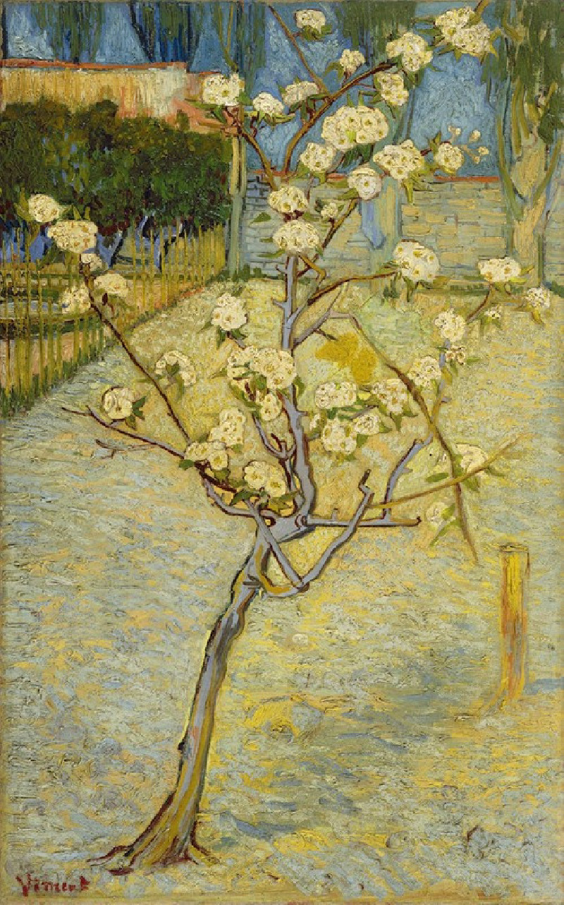 Small pear tree in blossom (1888) reproduction of painting by Vincent Van Gogh. ALL GICLEE PRINTS