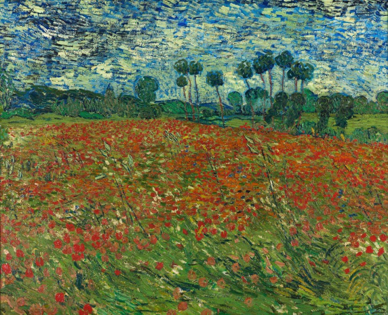 Poppy field reproduction of painting by Vincent Van Gogh. ALL GICLEE PRINTS