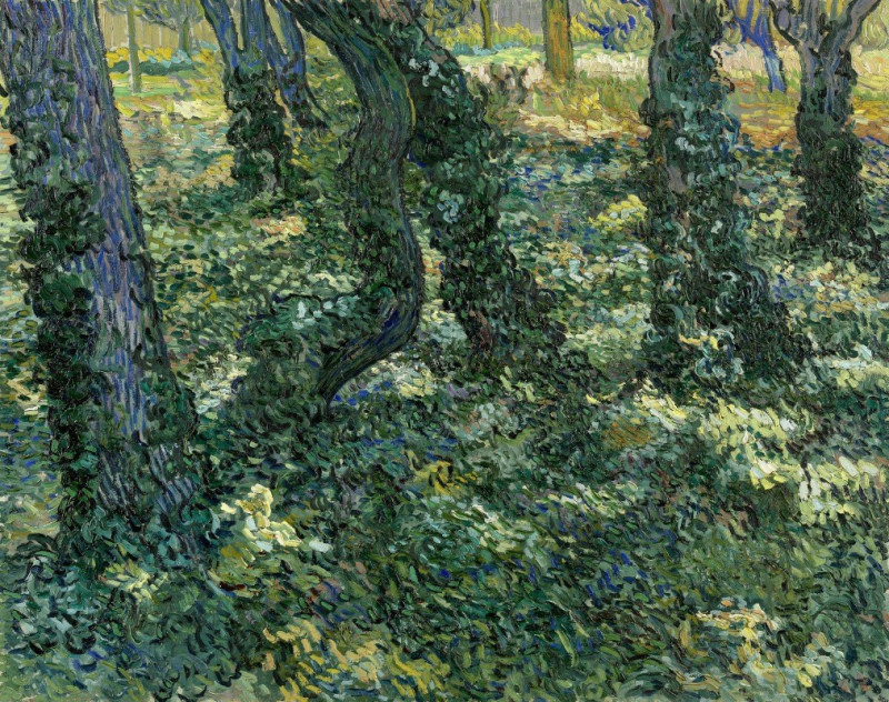 Undergrowth reproduction of painting by Vincent Van Gogh. ALL GICLEE PRINTS