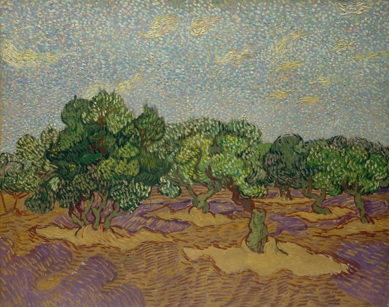 Olive Trees (1889) reproduction of painting by Vincent Van Gogh. ALL GICLEE PRINTS