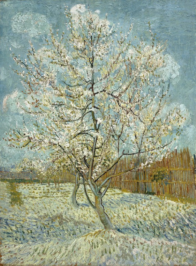 The pink peach tree (1888) reproduction of painting by Vincent Van Gogh. ALL GICLEE PRINTS