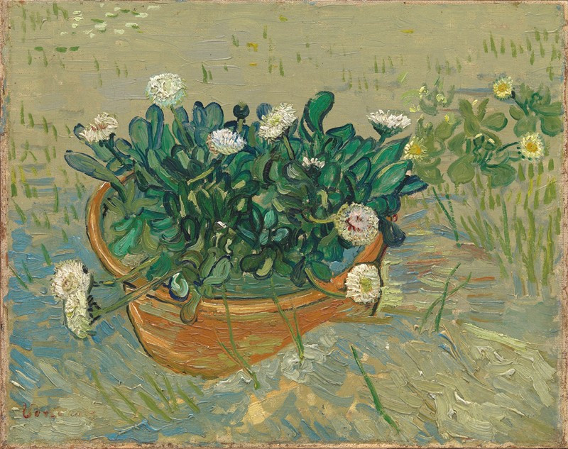 Daisies, Arles (1888) reproduction of painting by Vincent Van Gogh. ALL GICLEE PRINTS