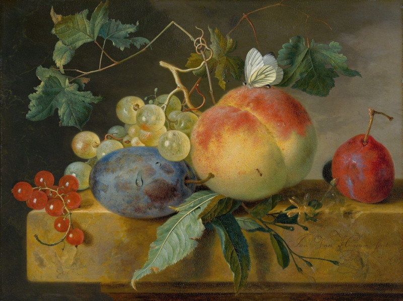 Fruit Still Life reproduction of painting by Jan van Huysum. Still-life