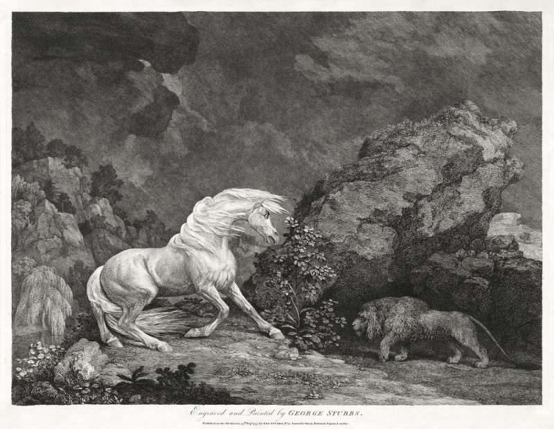 George Stubbs reprodukcija A Horse Affrighted, VISOS REPRODUKCIJOS , paveikslai, reprodukcijos internetu