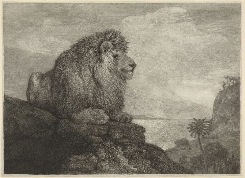 A Lion A Lion Resting On A Rock reproduction of painting by George Stubbs. ALL GICLEE PRINTS