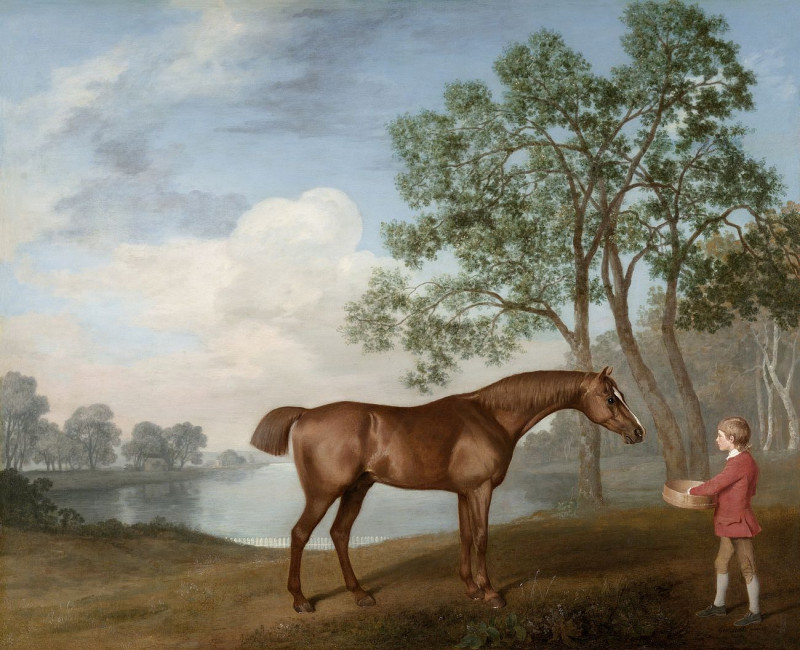 Pumpkin With A Stable-Lad reproduction of painting by George Stubbs. ALL GICLEE PRINTS