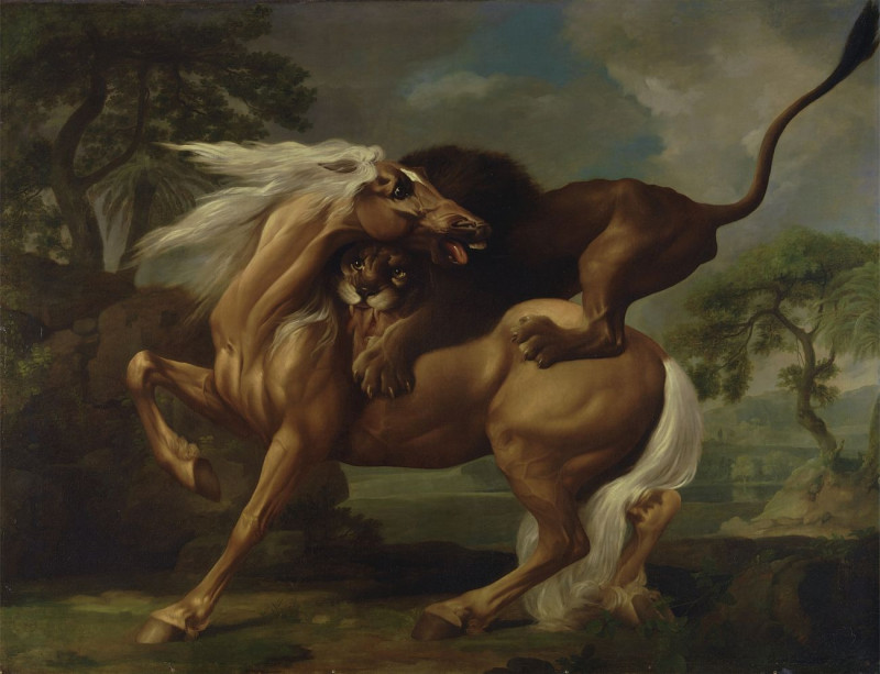 A Lion Attacking A Horse reproduction of painting by George Stubbs. ALL GICLEE PRINTS