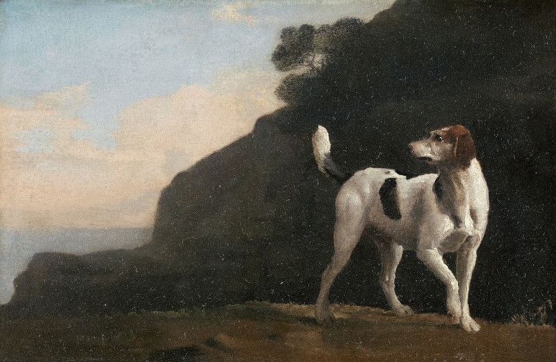 Foxhound reproduction of painting by George Stubbs. ALL GICLEE PRINTS