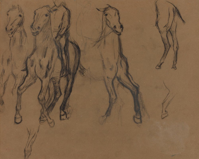 Edgar Degas reprodukcija Study of Horses (c. 1886), VISOS REPRODUKCIJOS , paveikslai, reprodukcijos internetu