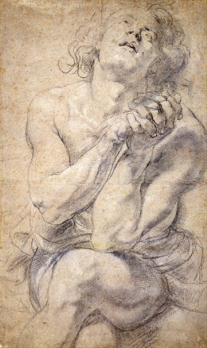 Seated Male Youth (Study for Daniel) (1600-1640) reproduction of painting by Peter Paul Rubens. ALL GICLEE PRINTS