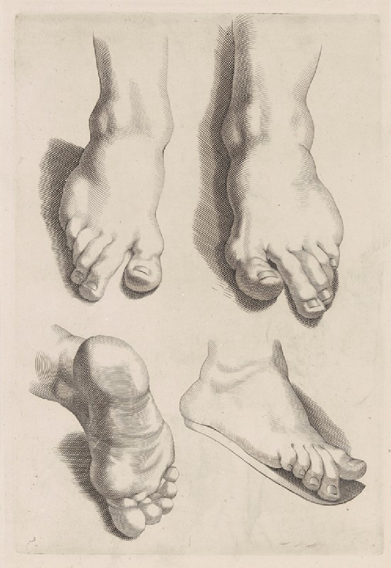 Peter Paul Rubens reprodukcija Study of Feet, VISOS REPRODUKCIJOS , paveikslai, reprodukcijos internetu