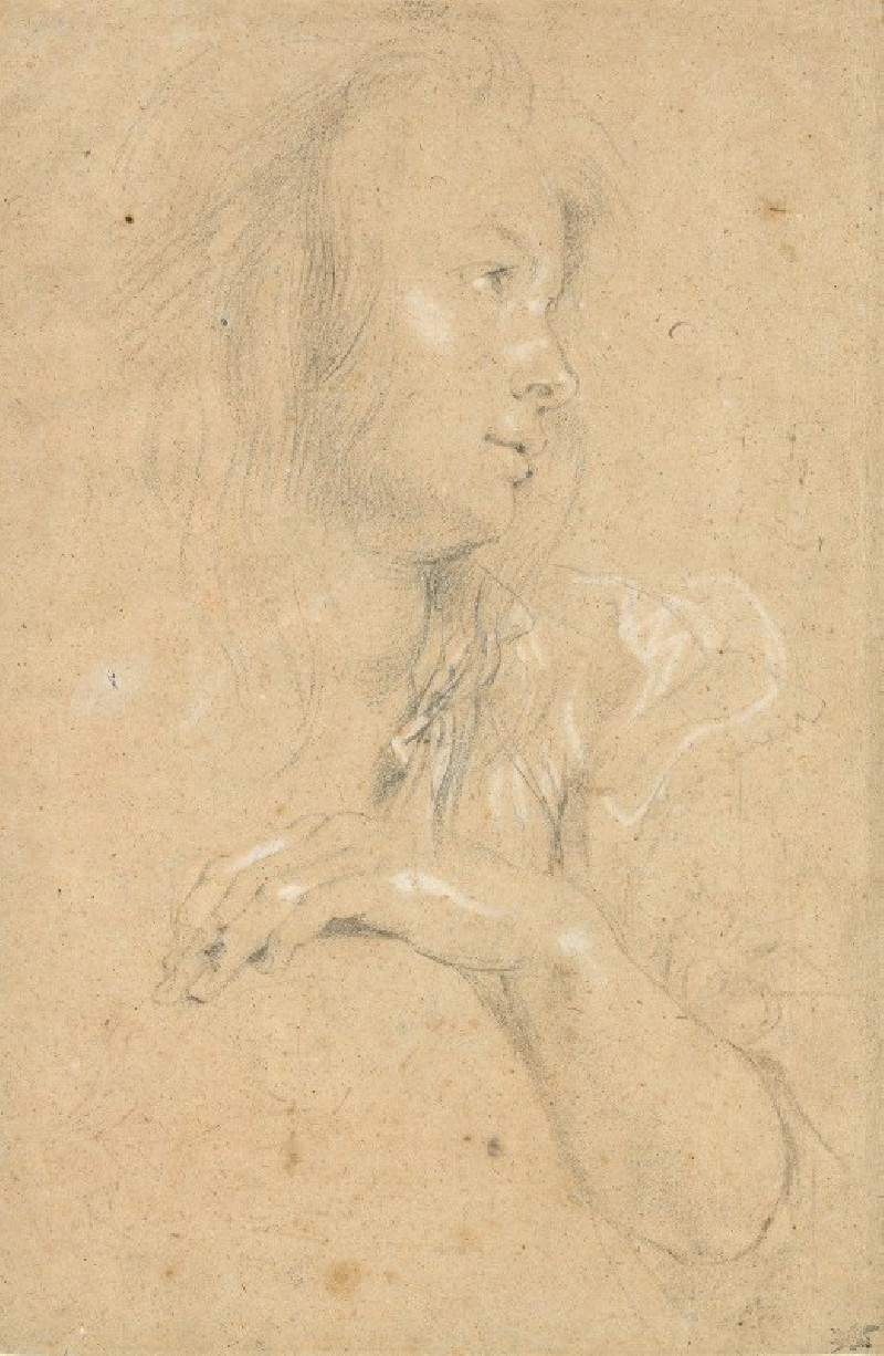 Peter Paul Rubens reprodukcija Young Woman in Profile (c. 1613), VISOS REPRODUKCIJOS , paveikslai, reprodukcijos internetu