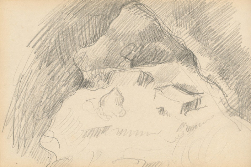 Paul Cézanne reprodukcija Landscape Seen from the Inside of a Cave (1889-1892), VISOS REPRODUKCIJOS , paveikslai, reprodukcij...