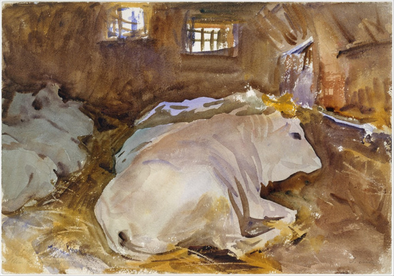 John Singer Sargent reprodukcija Oxen (circa 1910), VISOS REPRODUKCIJOS , paveikslai, reprodukcijos internetu