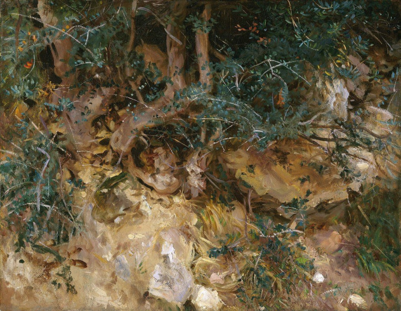 Valdemosa,Majorca – Thistles and Herbage on a Hillside (1908) reproduction of painting by John Singer Sargent. ALL GICLEE PRINTS