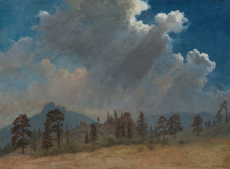 Fir Trees and Storm Clouds (c. 1870) reproduction of painting by Albert Bierstadt. ALL GICLEE PRINTS