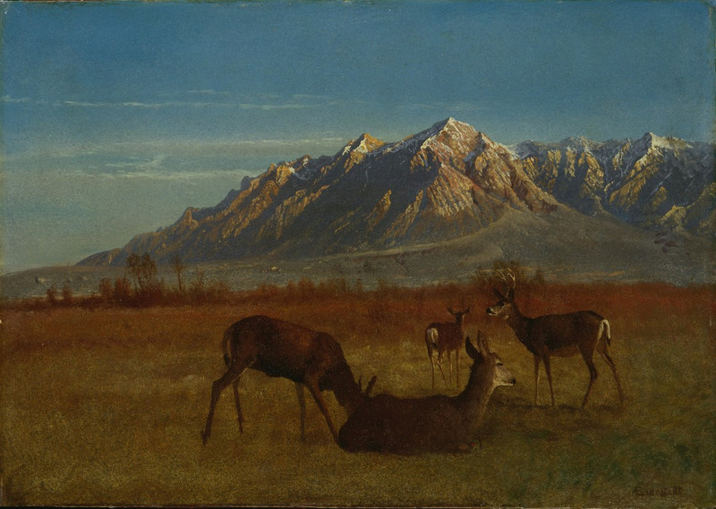 Deer in Mountain Home (1879) reproduction of painting by Albert Bierstadt. ALL GICLEE PRINTS