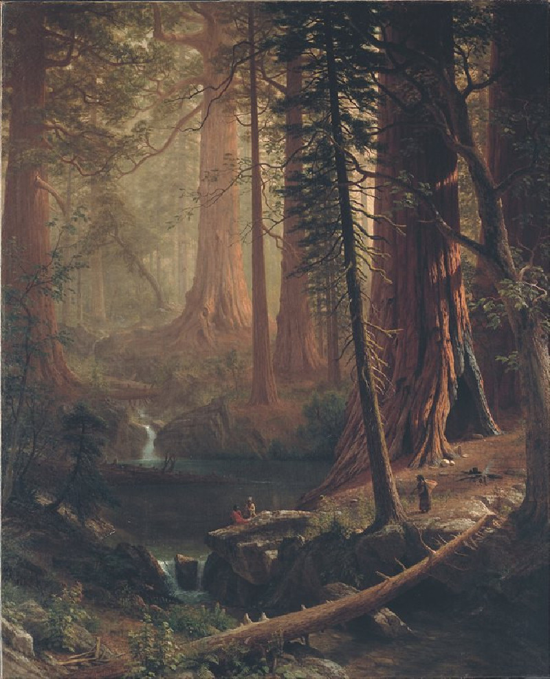 Giant Redwood Trees of California (1874) reproduction of painting by Albert Bierstadt. ALL GICLEE PRINTS