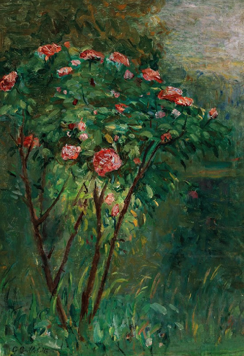 Gustave Caillebotte reprodukcija Le rosier fleuri (c. 1884–1885), VISOS REPRODUKCIJOS , paveikslai, reprodukcijos internetu