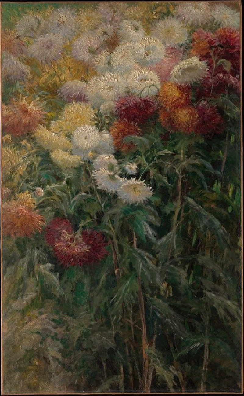 Chrysanthemums in the Garden at Petit-Gennevilliers (1893) reproduction of painting by Gustave Caillebotte. ALL GICLEE PRINTS