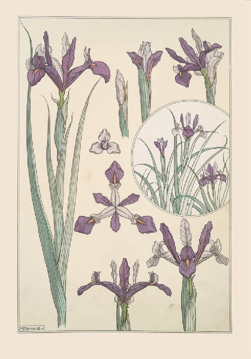 Iris (1896) reproduction of painting by Maurice Pillard Verneuil. ALL GICLEE PRINTS