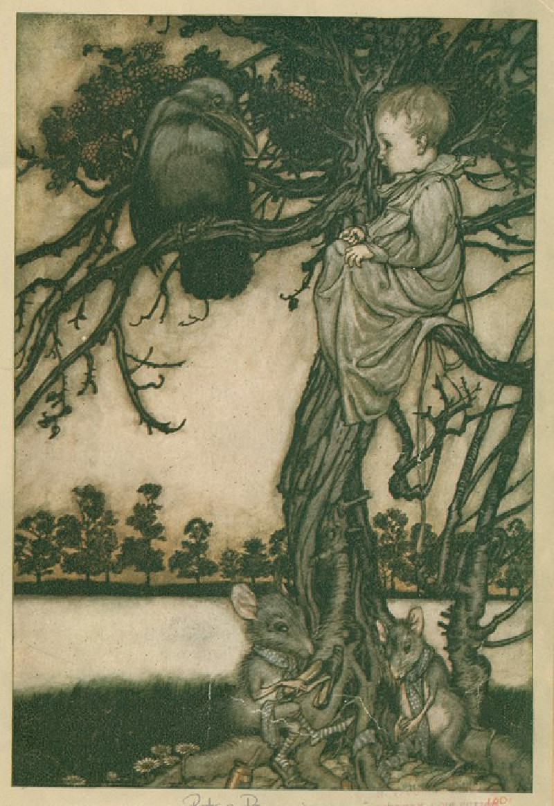 Arthur Rackham reprodukcija Put his strange case before old Solomon Caw (1913), VISOS REPRODUKCIJOS , paveikslai, reprodukcij...