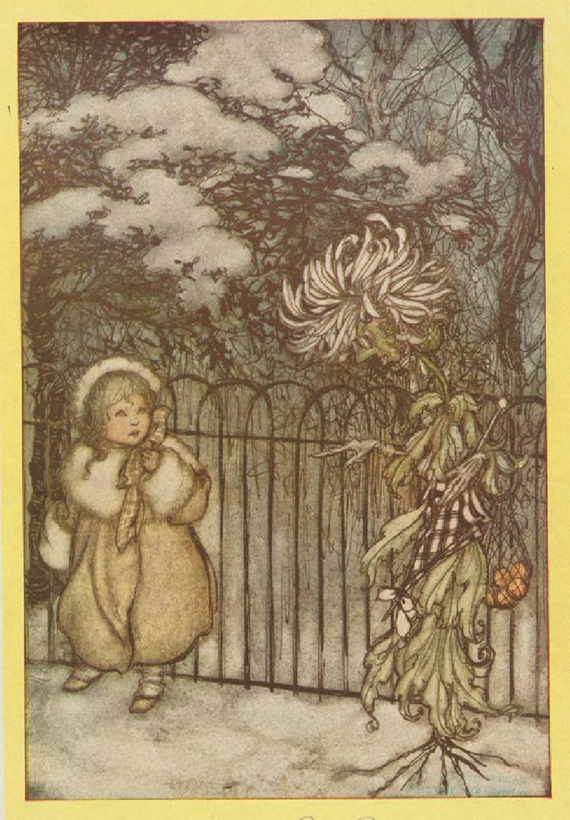 A chrysanthemum heard her, and said pointedly, ‘Hoity-toity, what is this’ (1913) reproduction of painting by Arthur Rackham....