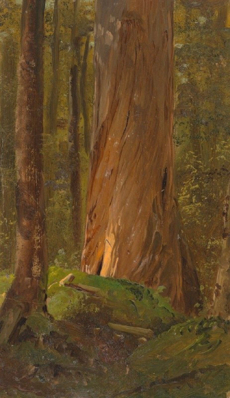 Frederic Edwin Church reprodukcija Study in the Maine Woods (1855–65), VISOS REPRODUKCIJOS , paveikslai, reprodukcijos internetu