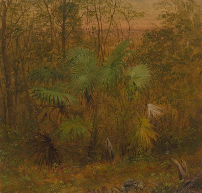 Thatch Palm, Jamaica (1865) reproduction of painting by Frederic Edwin Church. ALL GICLEE PRINTS