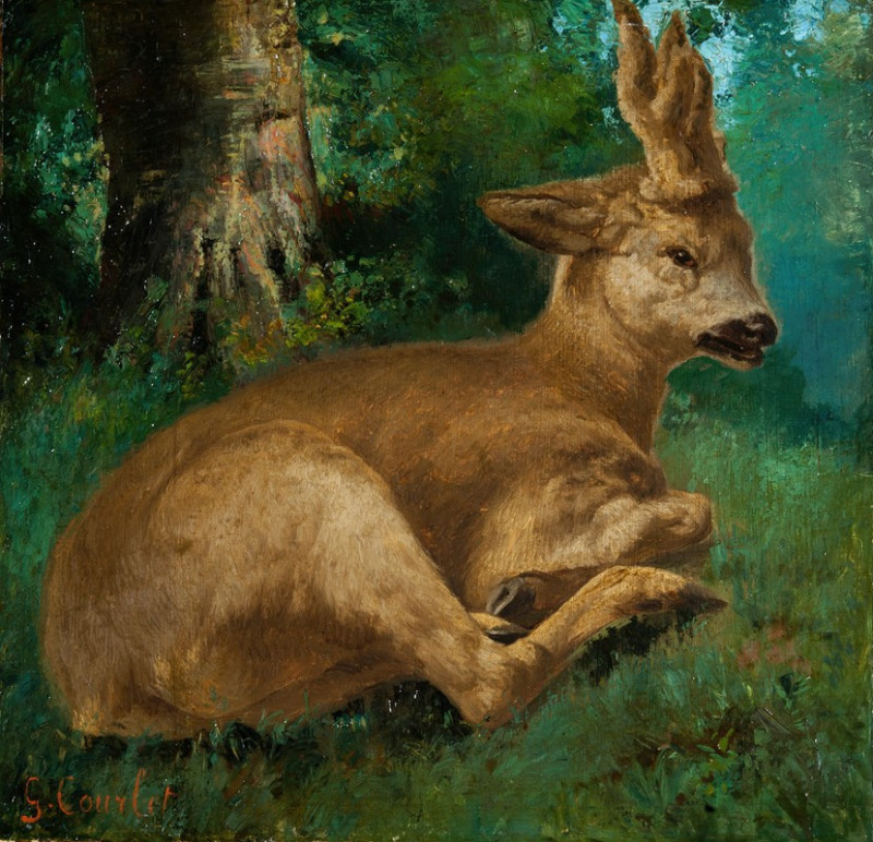 Roebuck reproduction of painting by Gustave Courbet. ALL GICLEE PRINTS