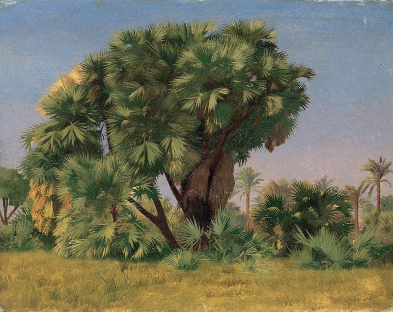 Jean-Léon Gérôme reprodukcija Study of Palm Trees (probably 1868), VISOS REPRODUKCIJOS , paveikslai, reprodukcijos internetu