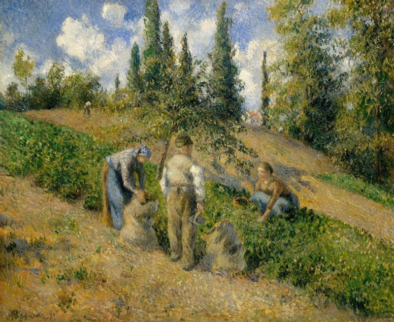 The Harvest, Pontoise (La Récolte, Pontoise) (1881) reproduction of painting by Camille Pissarro. ALL GICLEE PRINTS