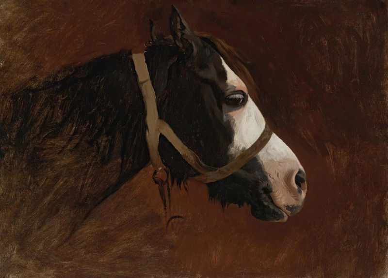 Profile Of A Horse reproduction of painting by Jean-Léon Gérôme. ALL GICLEE PRINTS