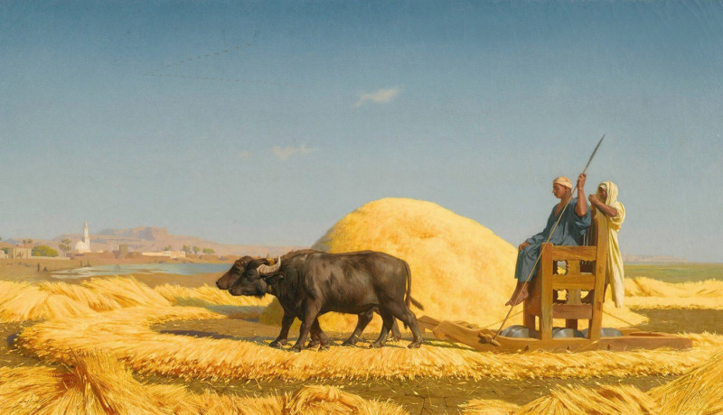 The Grain Threshers, Egypt (1859) reproduction of painting by Jean-Léon Gérôme. ALL GICLEE PRINTS