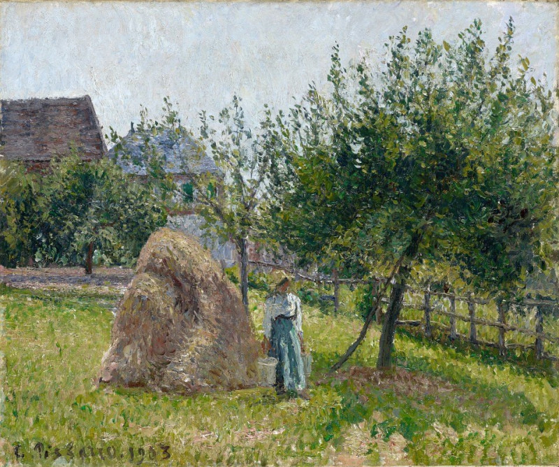 Apple Trees in Eragny, Sunny Morning (1903) reproduction of painting by Camille Pissarro. ALL GICLEE PRINTS