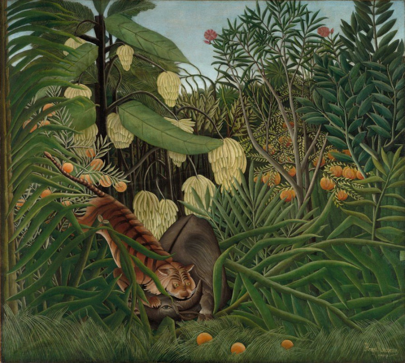 Fight between a Tiger and a Buffalo (1908) reproduction of painting by Henri Rousseau. ALL GICLEE PRINTS